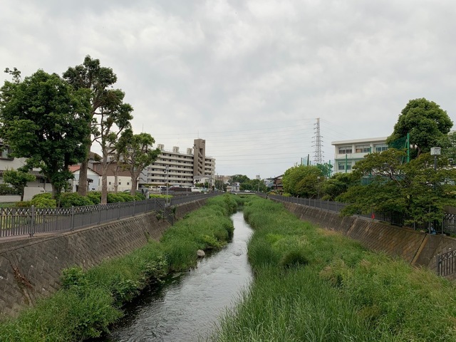 IMG_5677.jpg