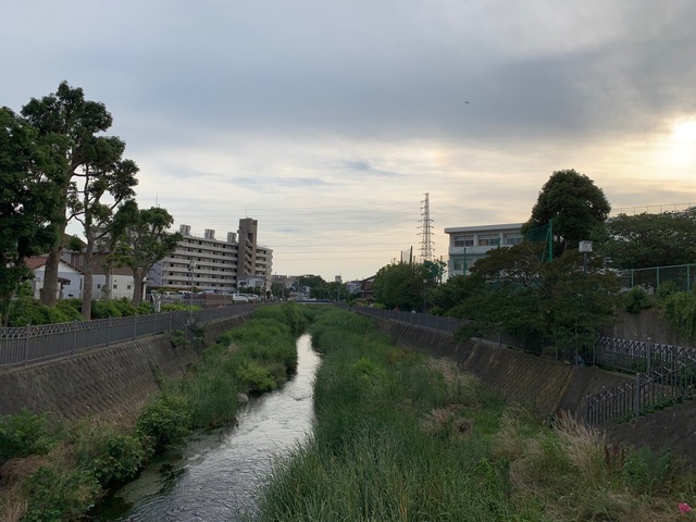 IMG_6225.jpg